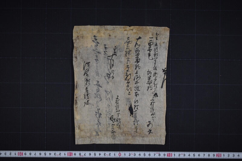 弐歳駒売払方願書 - ページ 2