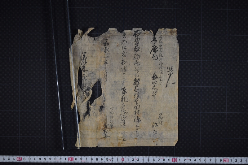 黒鹿毛弐歳駒買入に付達書 - ページ 2