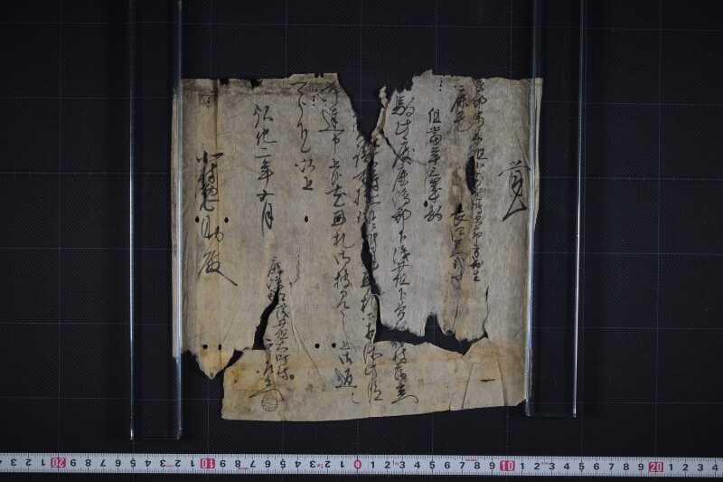 三歳駒買入に付耳札相添届書 - ページ 2