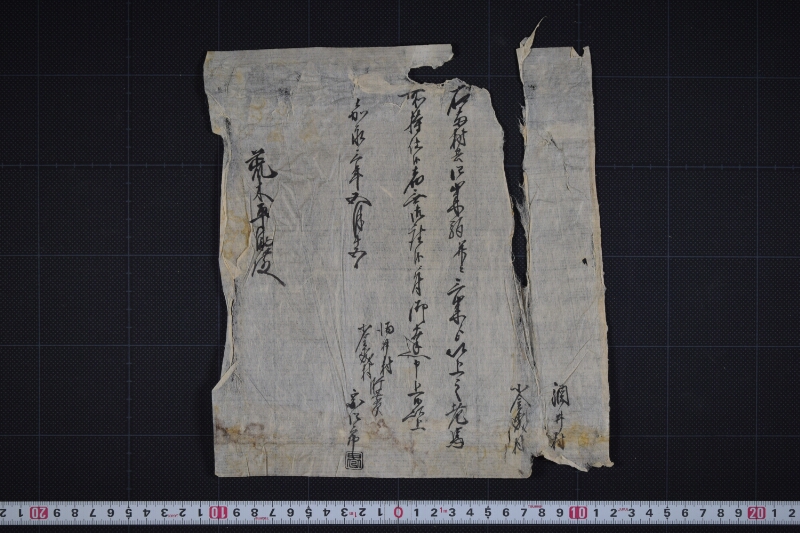四歳駒并三歳以上馬御座無に付書上 - ページ 2