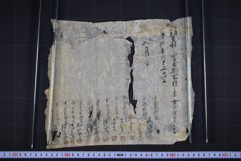 四歳駒所持者なきに付書上（後欠） - ページ 2