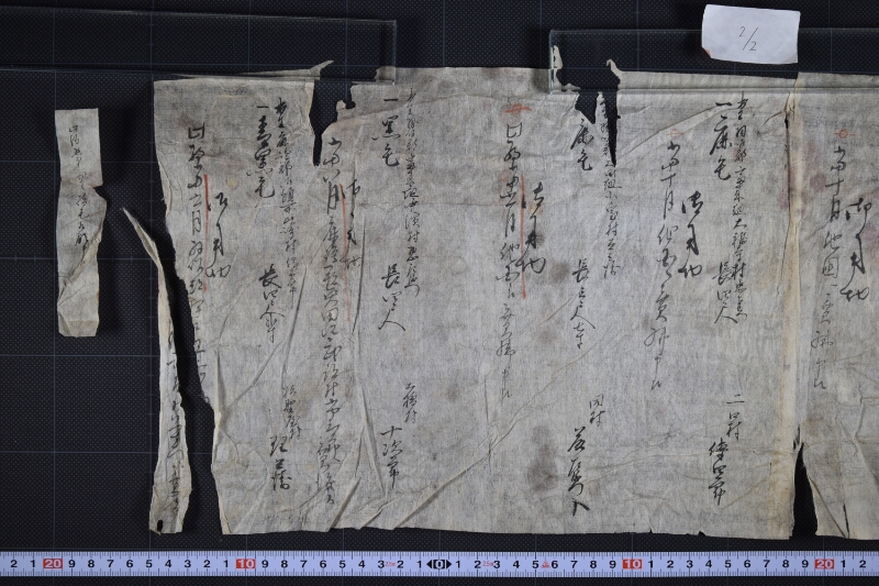 駒毛付等書出申帳（断簡） - ページ 3