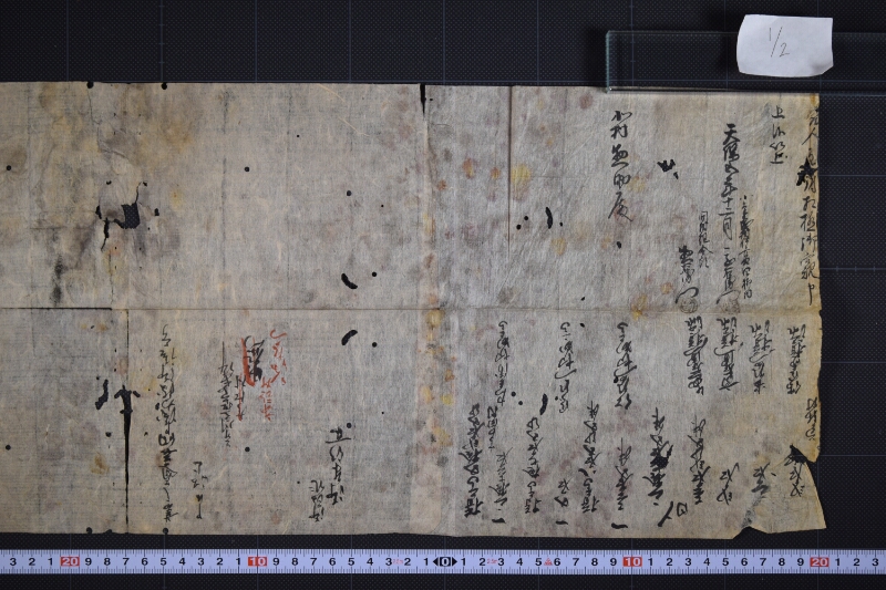 切高願申上等書上（断簡） - ページ 2