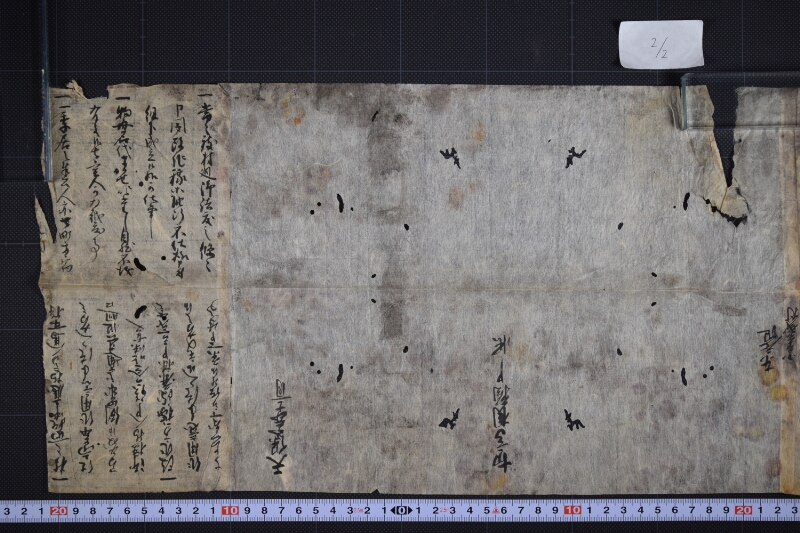 切高相願申帳等書上（断簡） - ページ 3