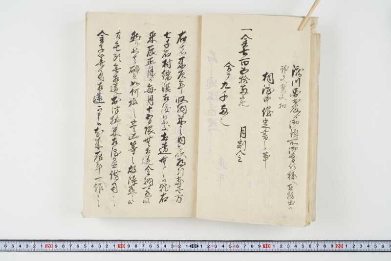 松平出雲守様御米引請代金并月割納金御預所御引請儀定諸書上証文等留牒 - ページ 28