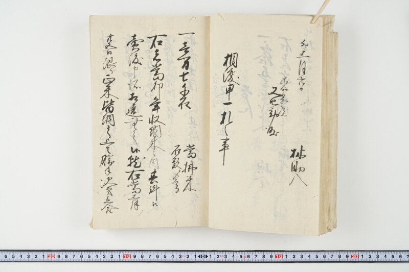 松平出雲守様御米引請代金并月割納金御預所御引請儀定諸書上証文等留牒 - ページ 45