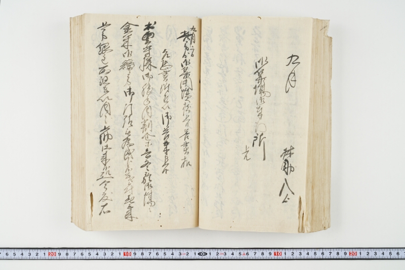 松平出雲守様御米引請代金并月割納金御預所御引請儀定諸書上証文等留牒 - ページ 89