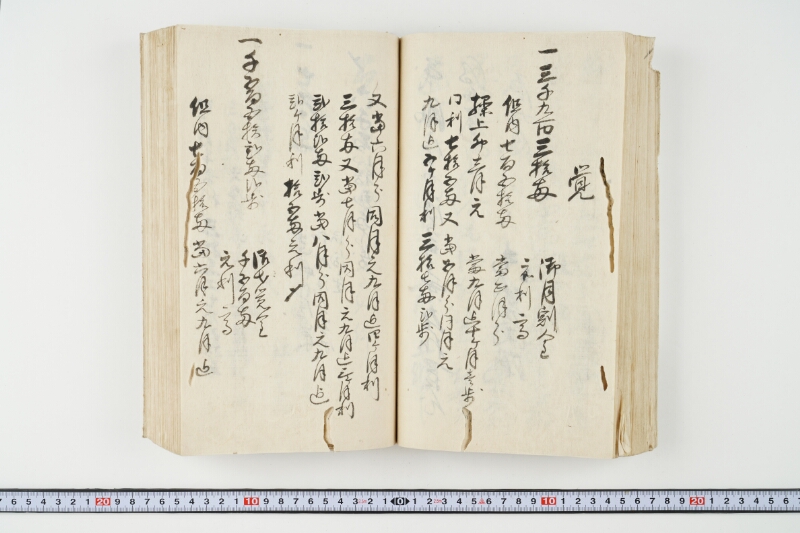 松平出雲守様御米引請代金并月割納金御預所御引請儀定諸書上証文等留牒 - ページ 103