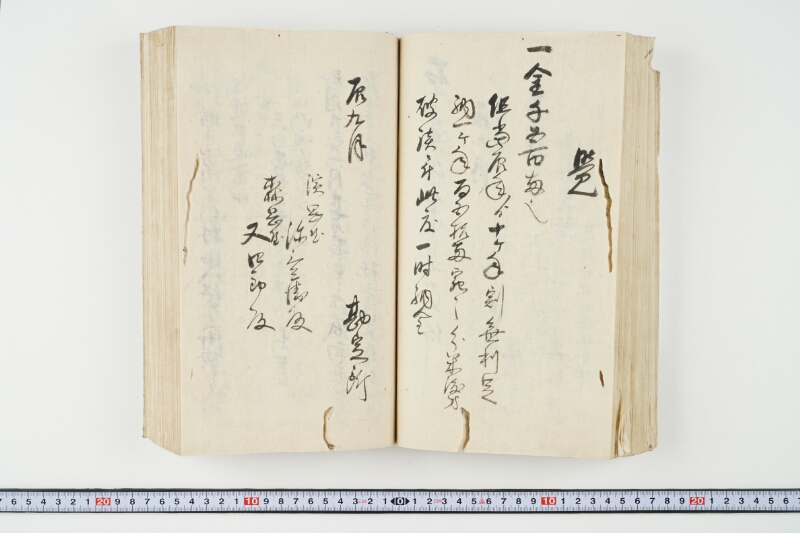 松平出雲守様御米引請代金并月割納金御預所御引請儀定諸書上証文等留牒 - ページ 105