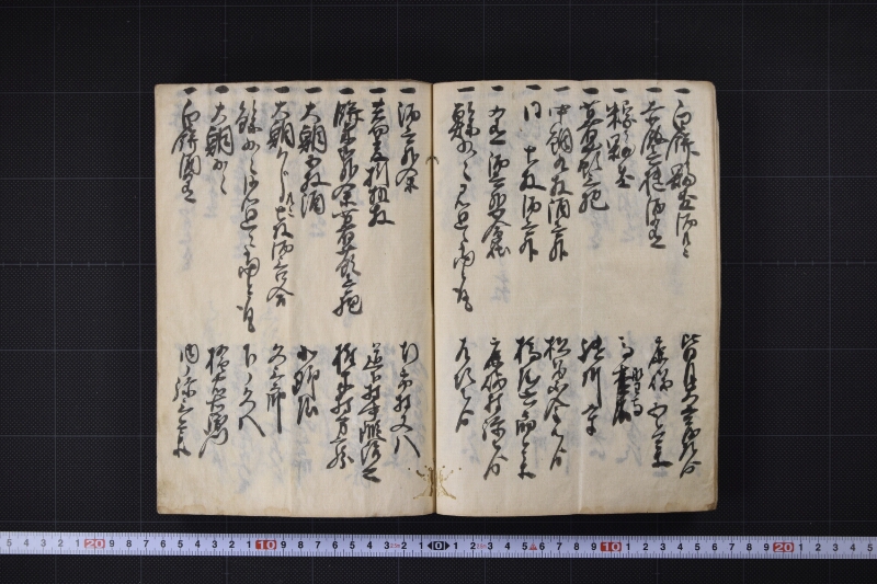 三木丸諸入用勘定日記并見廻記置 - ページ 13
