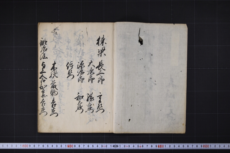 宝珠丸諸入用日記 - ページ 3