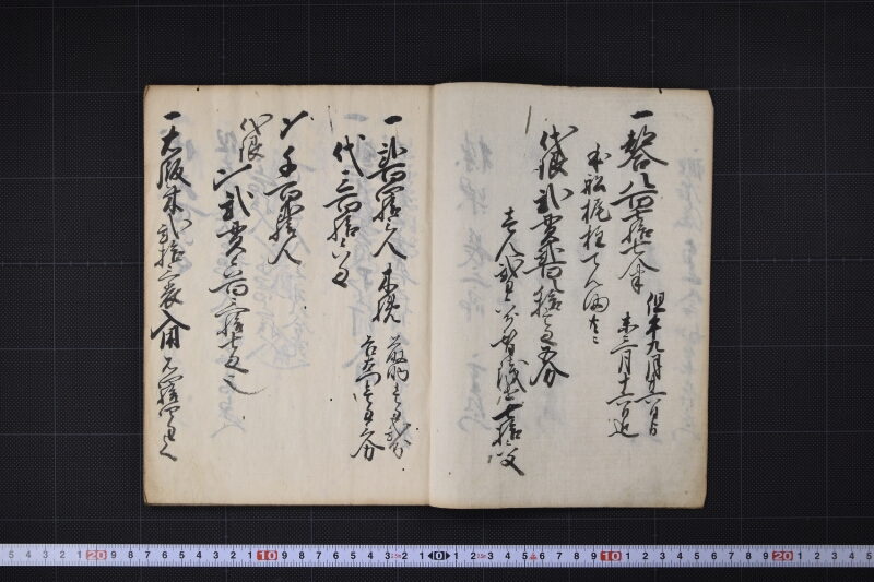 宝珠丸諸入用日記 - ページ 4