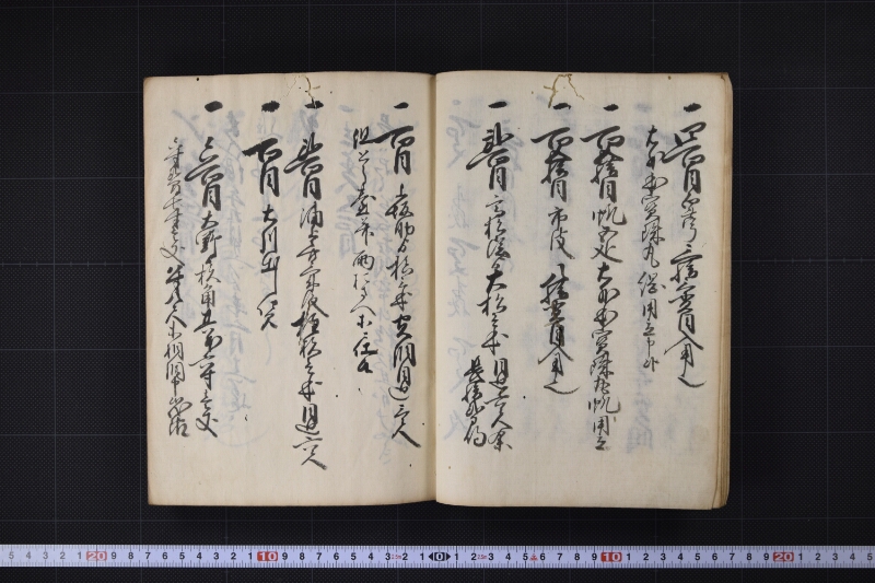 宝珠丸諸入用日記 - ページ 8