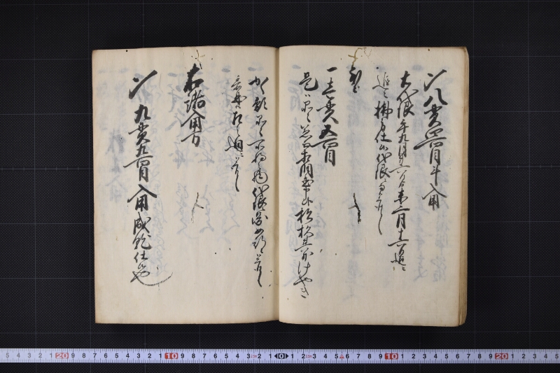 宝珠丸諸入用日記 - ページ 9