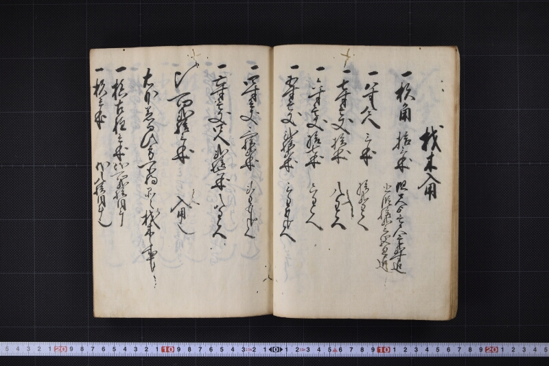 宝珠丸諸入用日記 - ページ 10