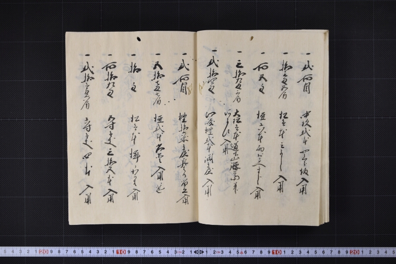 宝珠丸大作事帳 - ページ 11