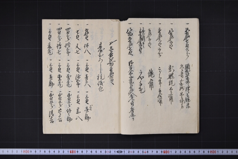宝珠丸四艘目新艘帳 - ページ 10