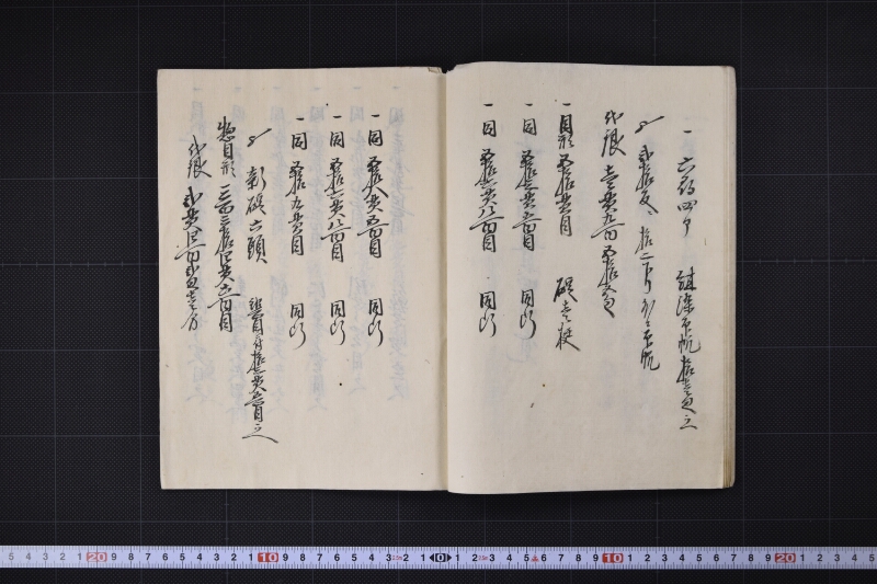 宝珠丸四艘目新艘帳 - ページ 13